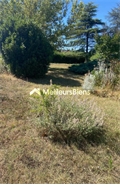 Image du bien UBI481588349
